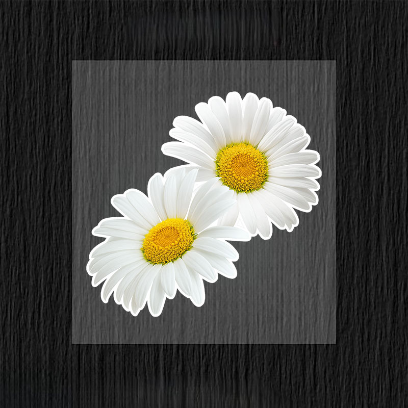 1pc Fashion Daisy Car Stickers - مراجعة Yellow Laptop Accessories وسعره