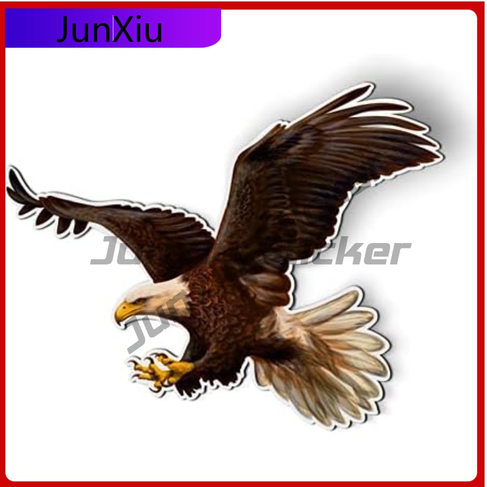 Bald Eagle American Eye Catchi - مراجعة Laptop Accessories You Must Have وسعره