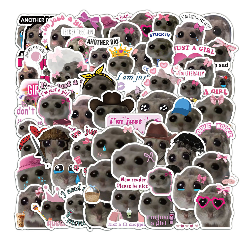 56pcs Cute Sad Hamster Meme St - مراجعة Laptop Accessories Girly وسعره