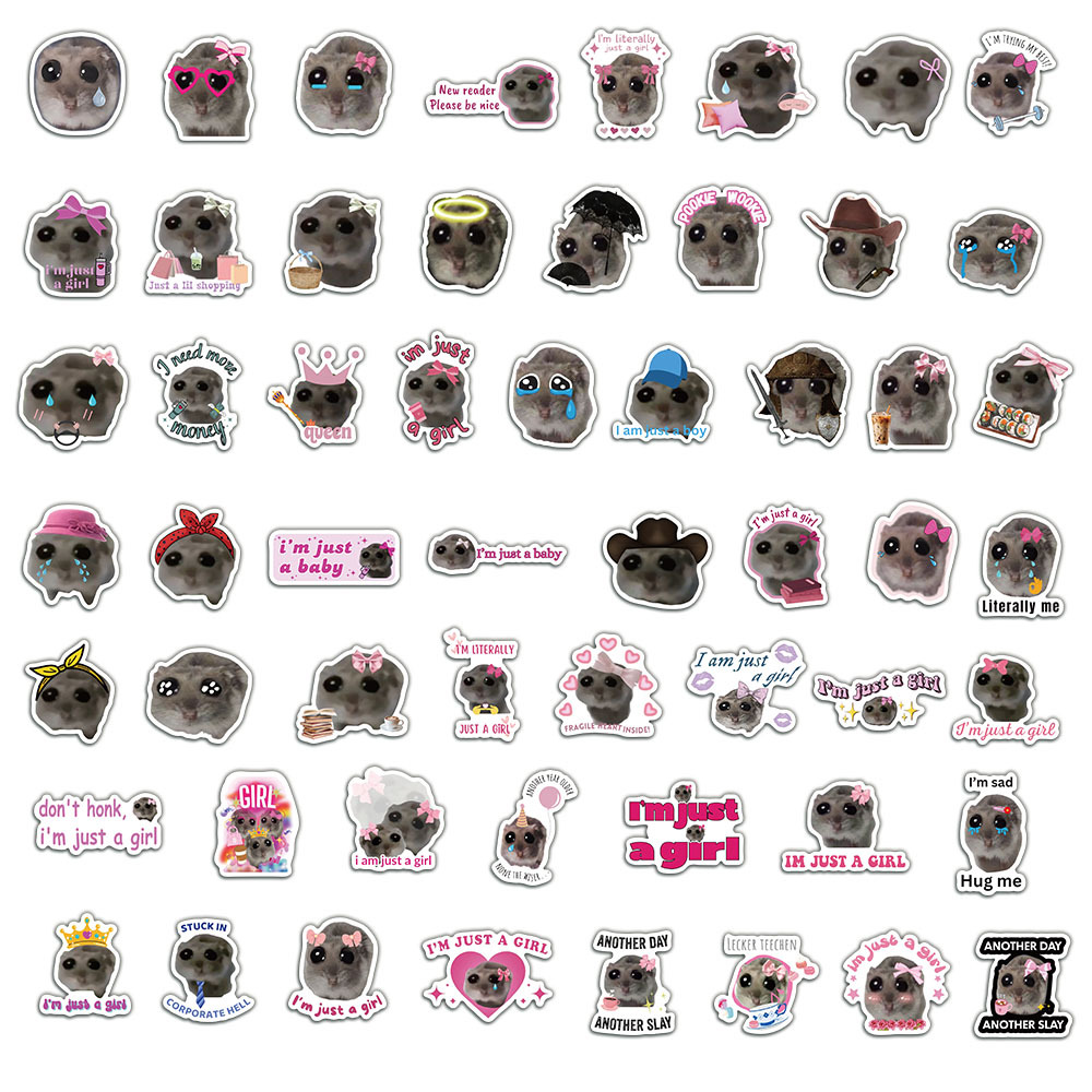 56pcs Cute Sad Hamster Meme St - مراجعة Laptop Accessories Girly وسعره