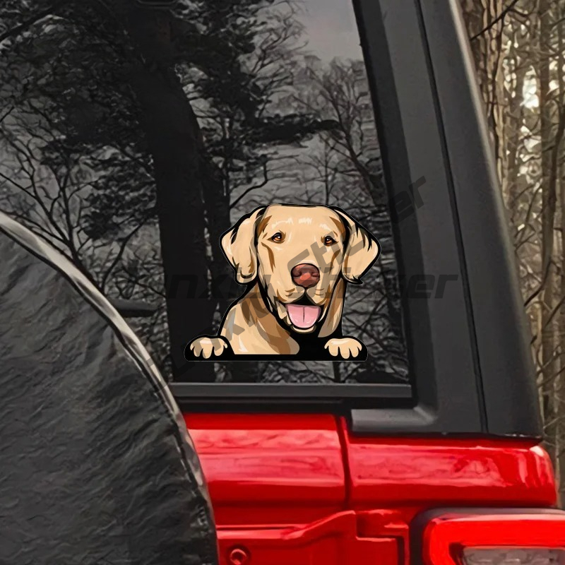 Labrador Retriever Peeker Car  - مراجعة Yellow Laptop Accessories وسعره