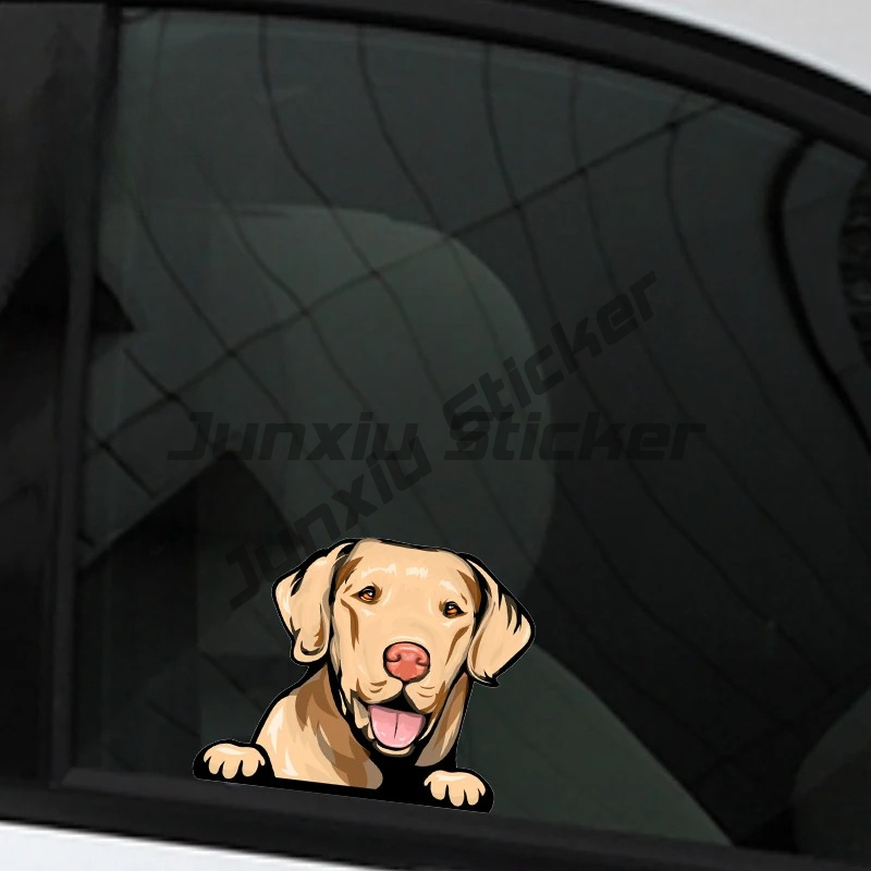 Labrador Retriever Peeker Car  - مراجعة Yellow Laptop Accessories وسعره