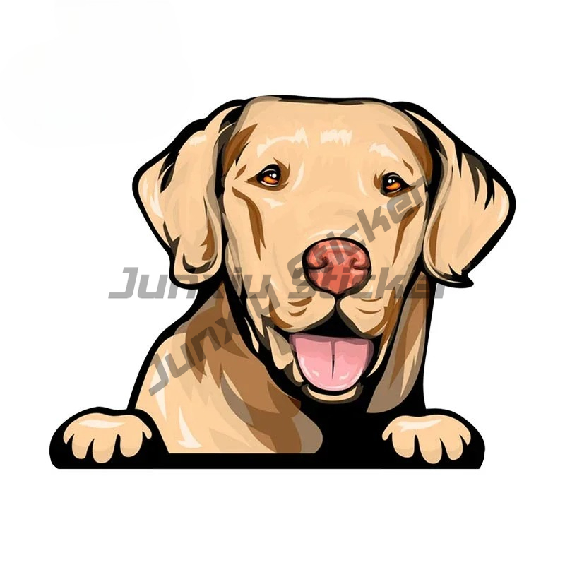 Labrador Retriever Peeker Car  - مراجعة Yellow Laptop Accessories وسعره