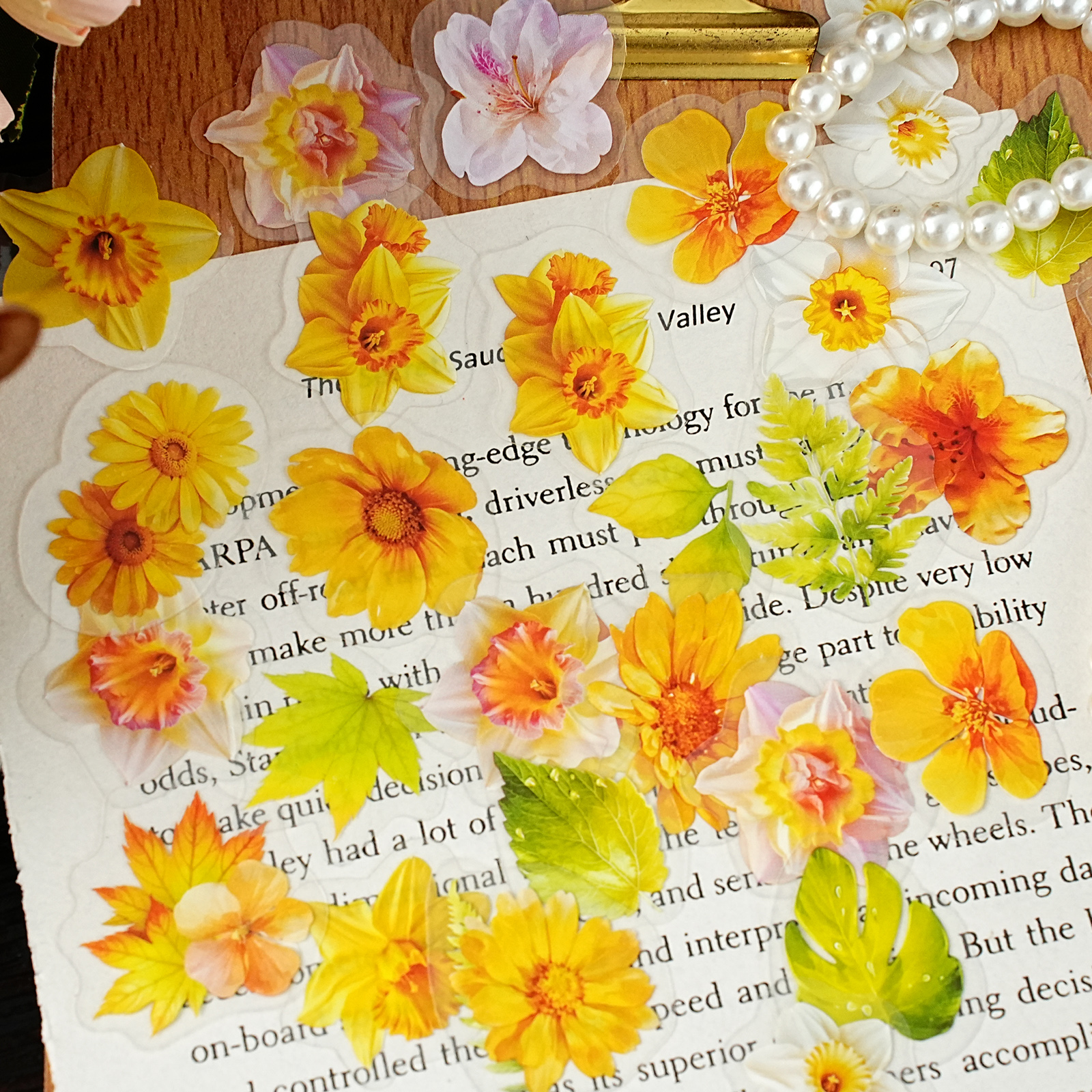 Etori Life Warm and Bright Yel - مراجعة Yellow Laptop Accessories وسعره